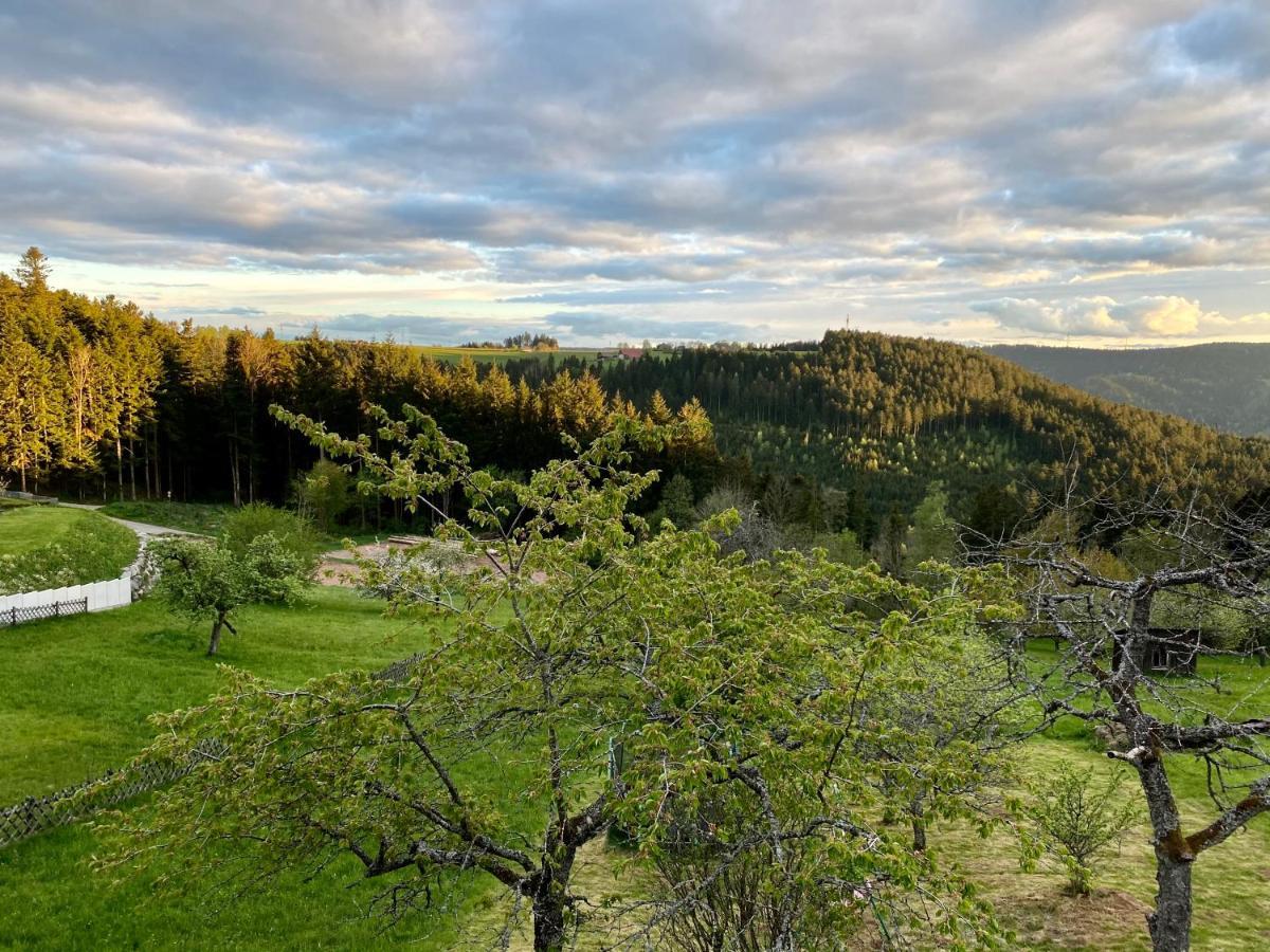 Ferienhaus Mit 5* Luxus Im Schwarzwald Gemeinde Gemeinde Aichhalden Extérieur photo