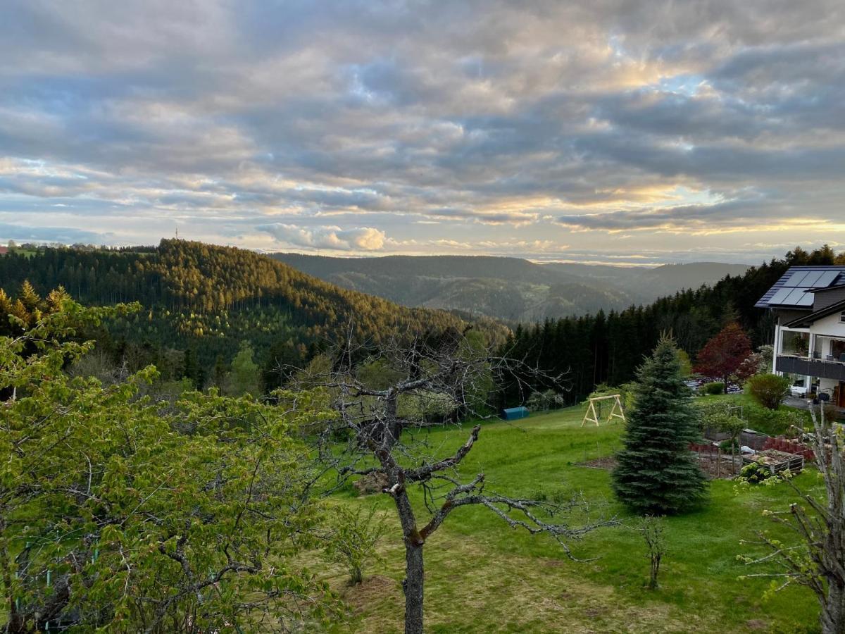Ferienhaus Mit 5* Luxus Im Schwarzwald Gemeinde Gemeinde Aichhalden Extérieur photo
